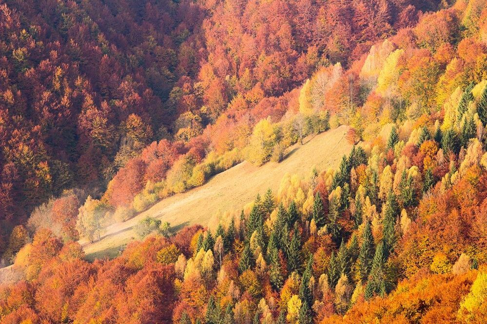 Осень на западной Украине