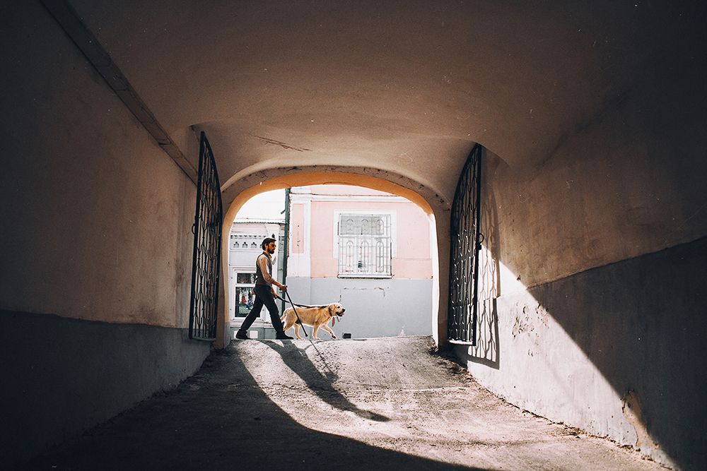 PIANIST | Story of a man and his dog