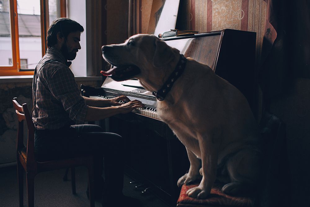 PIANIST | Story of a man and his dog