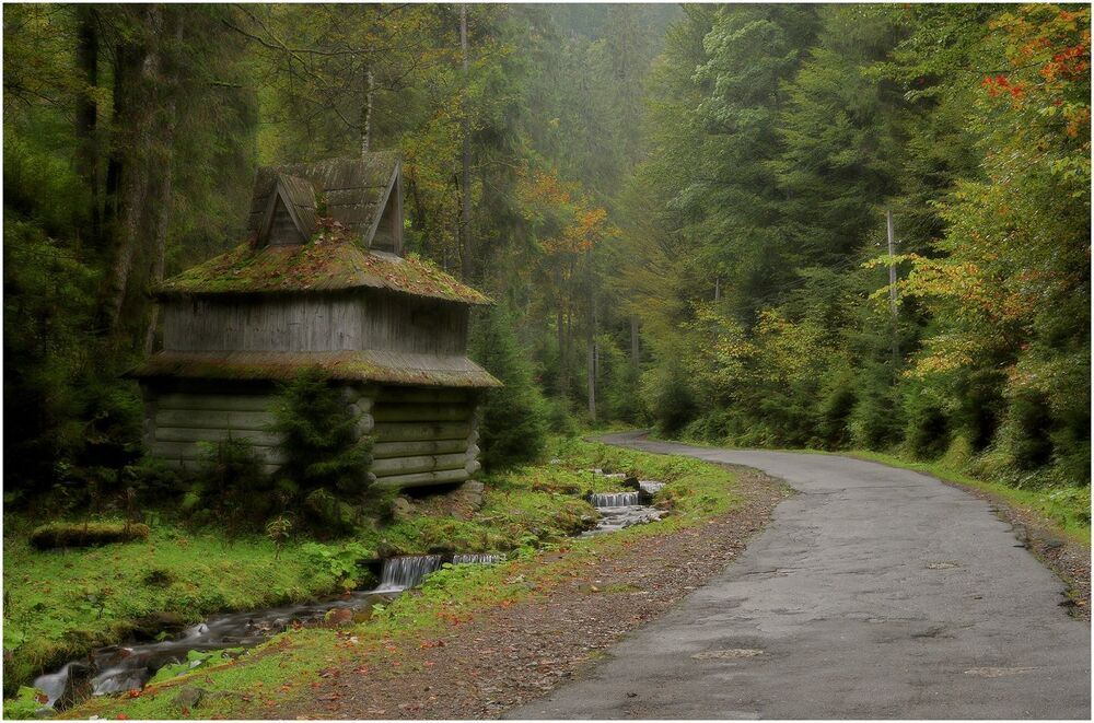 Путь к озеру Синевир. В тех местах всегда красочно. В туман даже мистично.