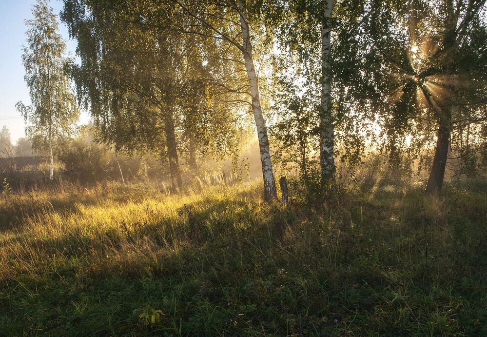 Про утренние туманы