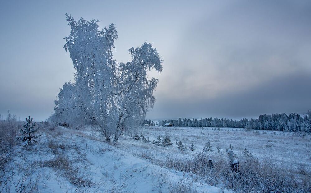 Утренняя Еланка
