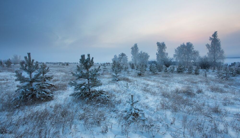 Утренняя Еланка