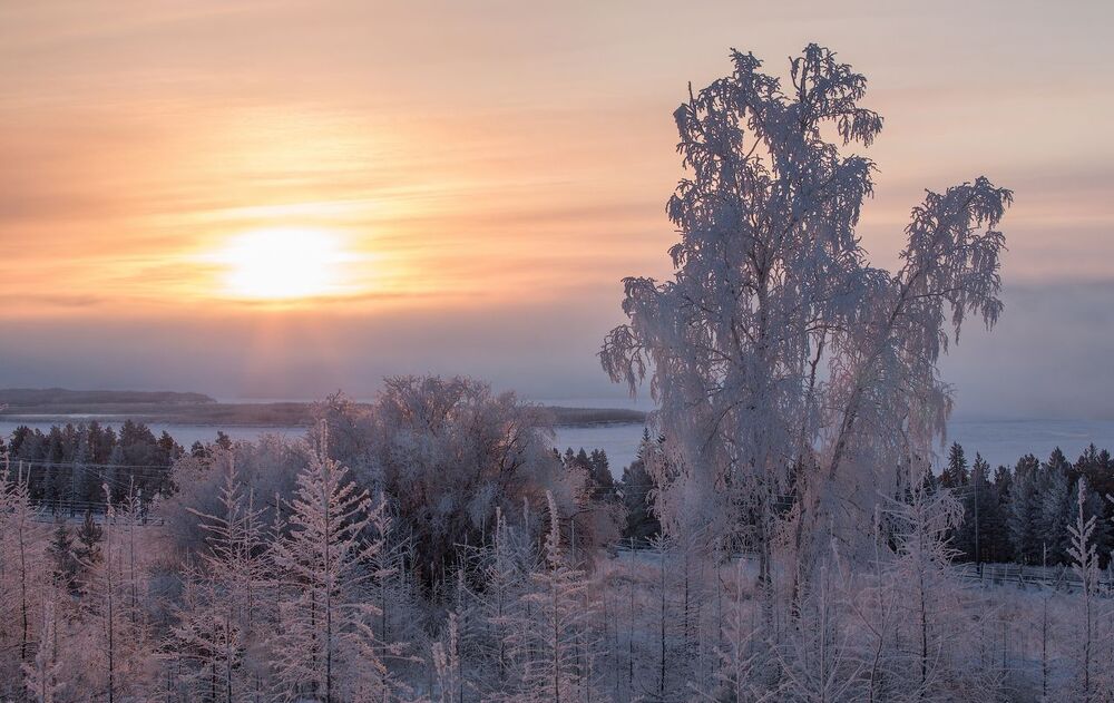 Утренняя Еланка