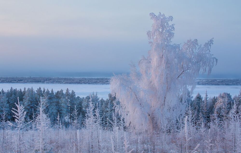 Утренняя Еланка