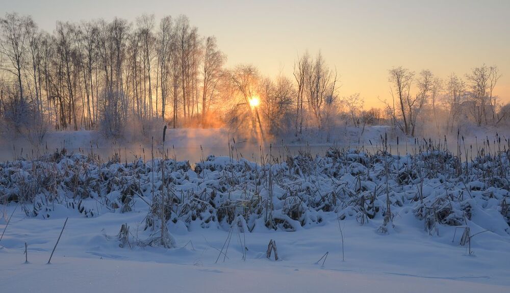 Морозное утро