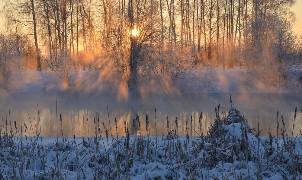 Морозное утро
