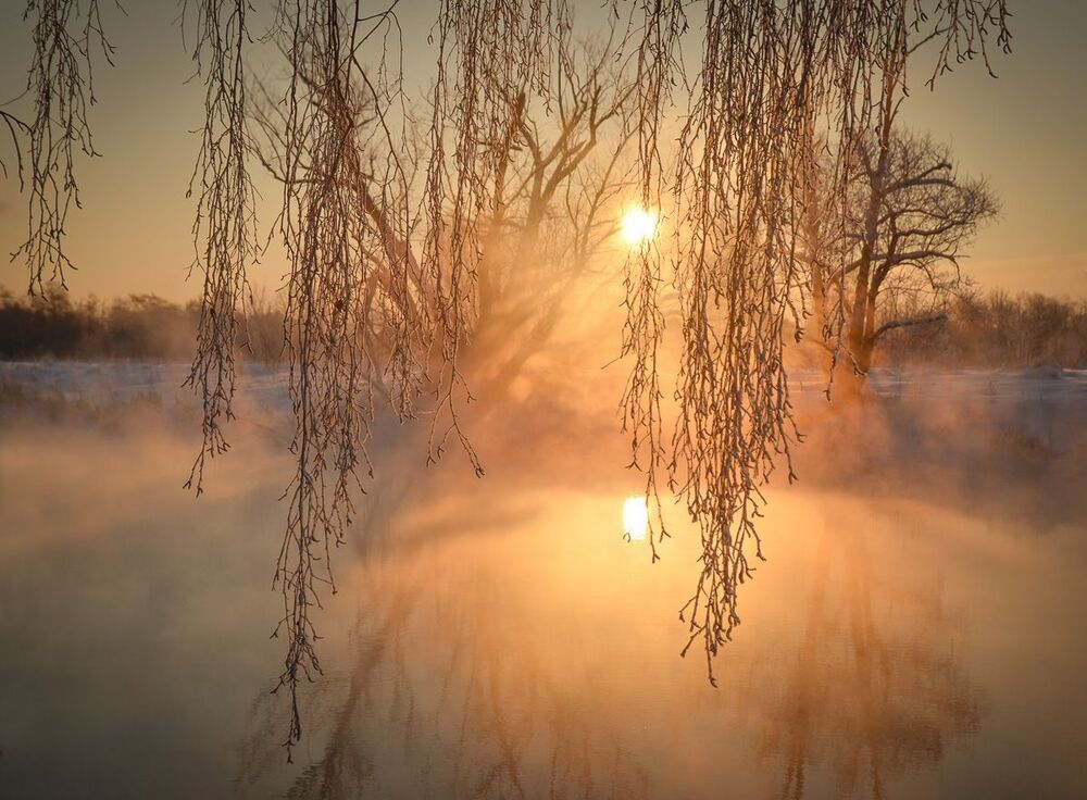 Морозное утро
