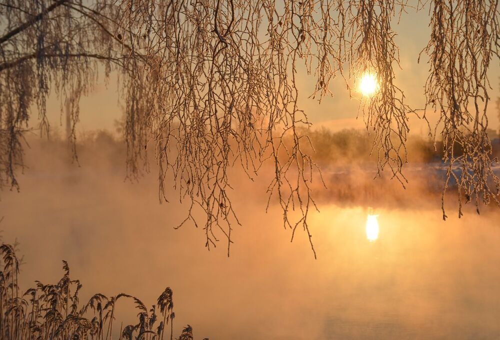 Морозное утро