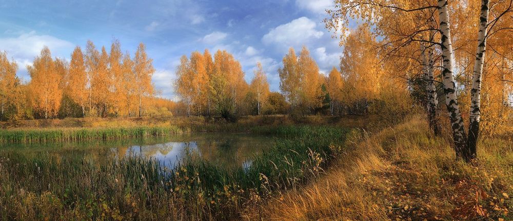 Мгновения