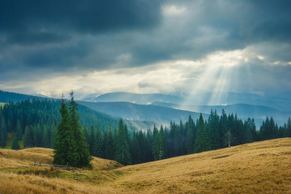 Десь у Карпатах