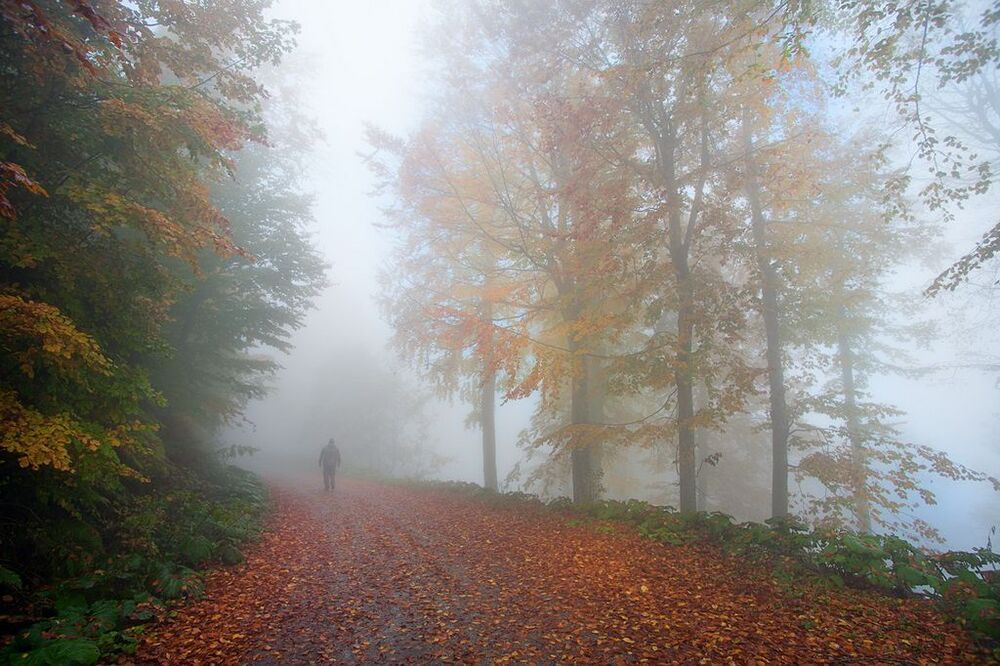 Autumn