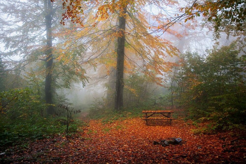Autumn