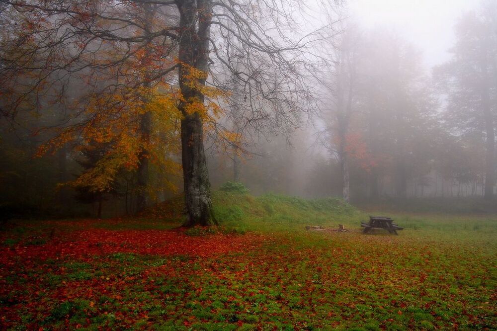 Autumn