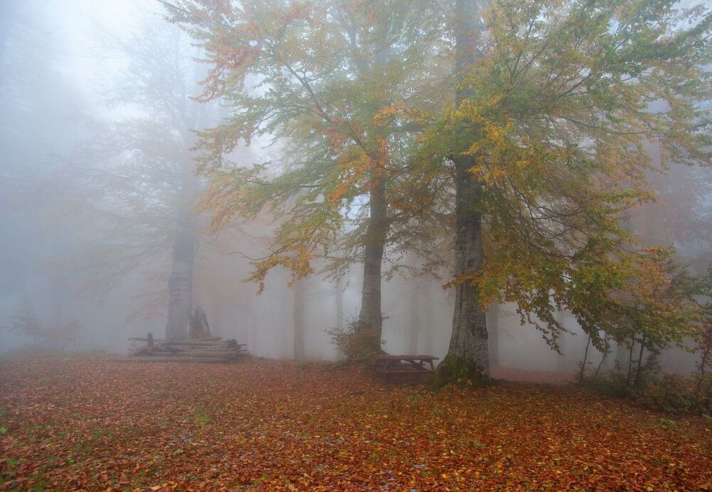 Autumn