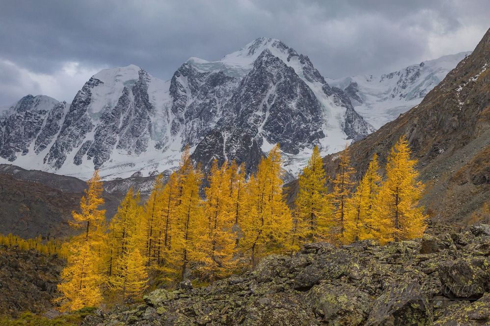 Осень в Алтае