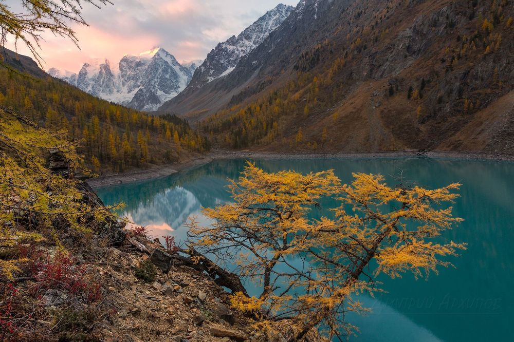 Рассветная