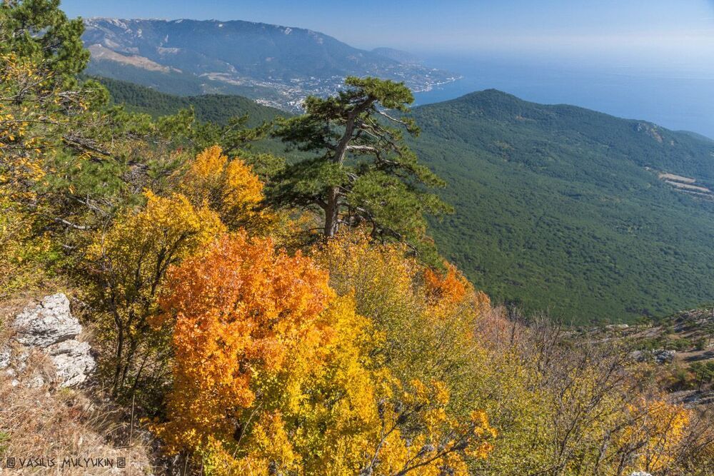 Крым ... прогулки по плато ...