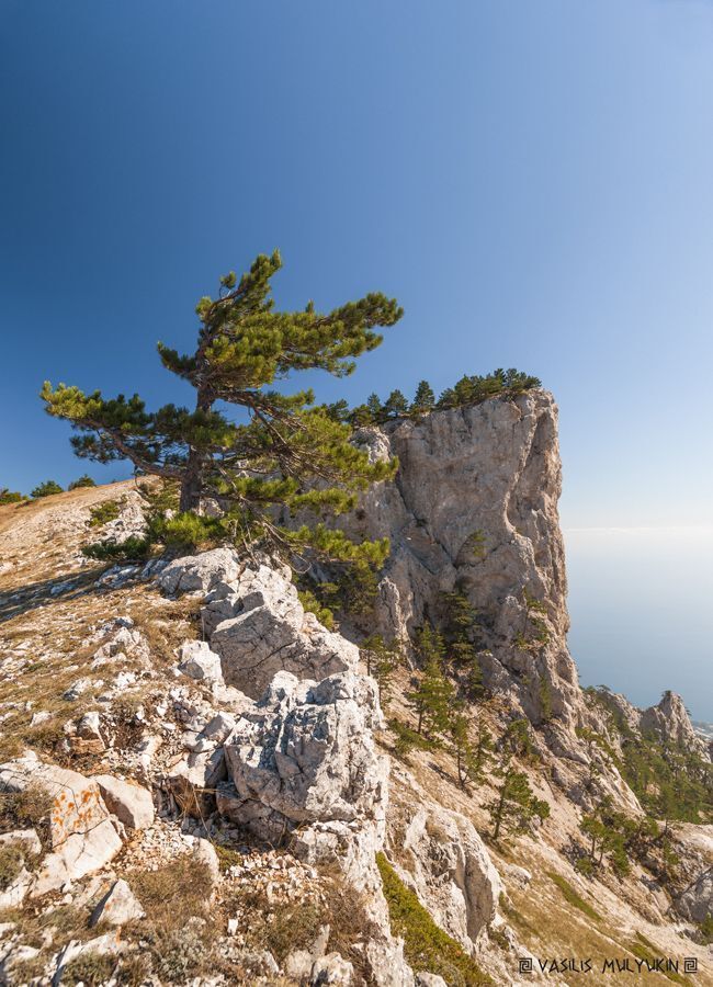 Крым ... прогулки по плато ...
