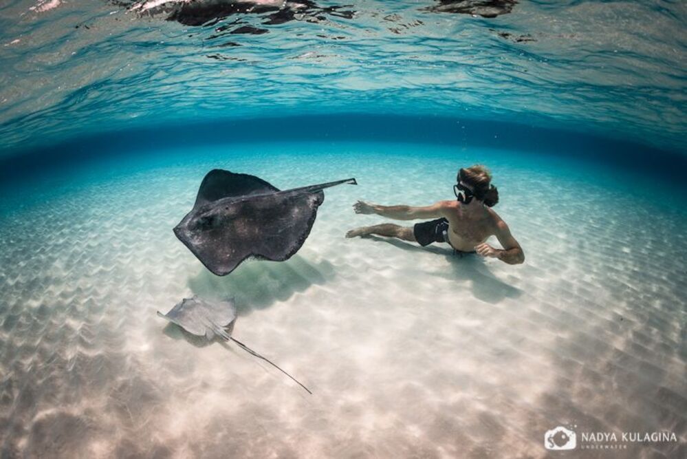 Playing with Rays