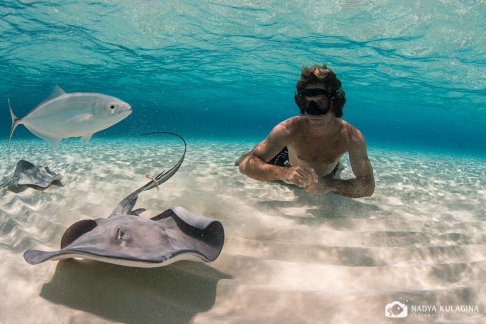 Playing with Rays