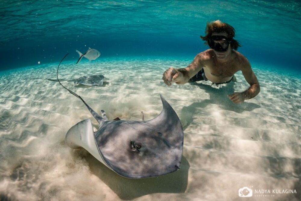 Playing with Rays