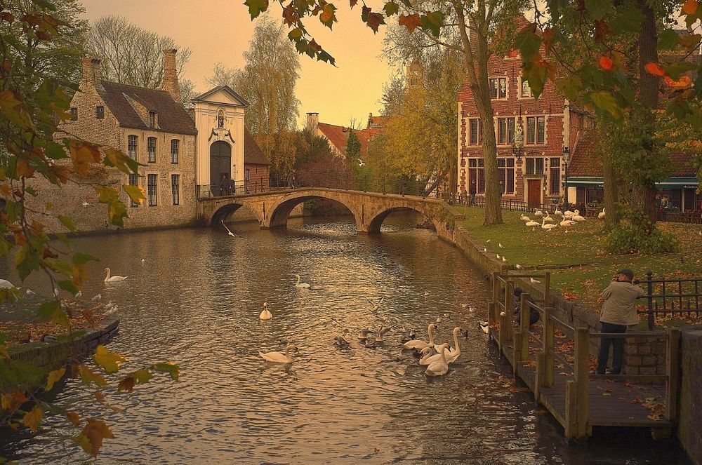A walking in Bruges.