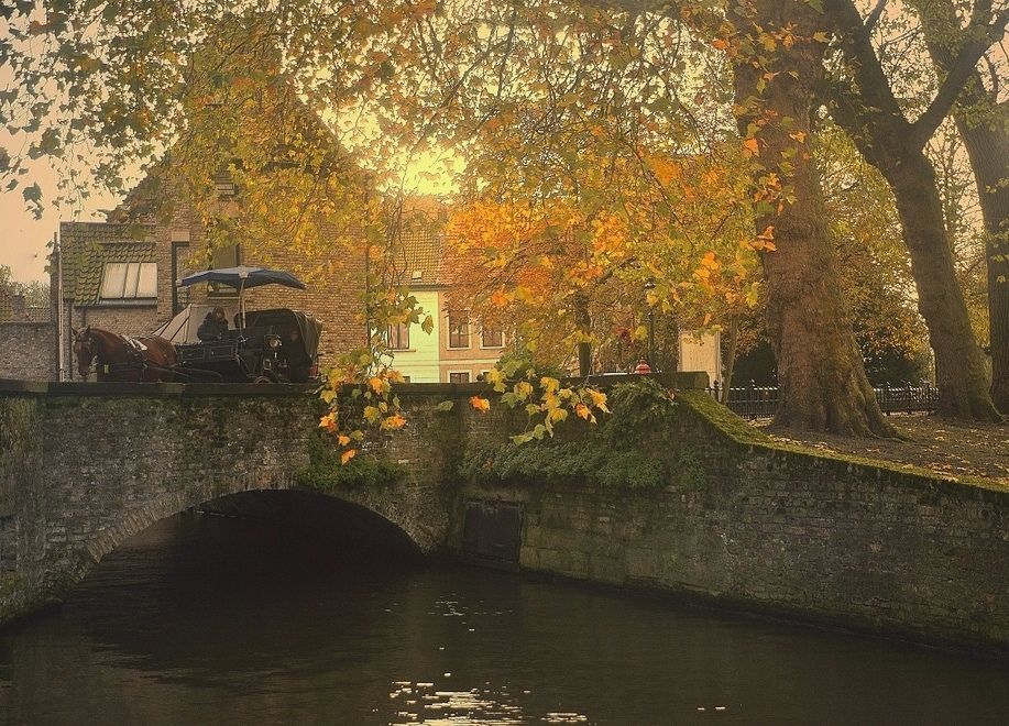 A walking in Bruges.