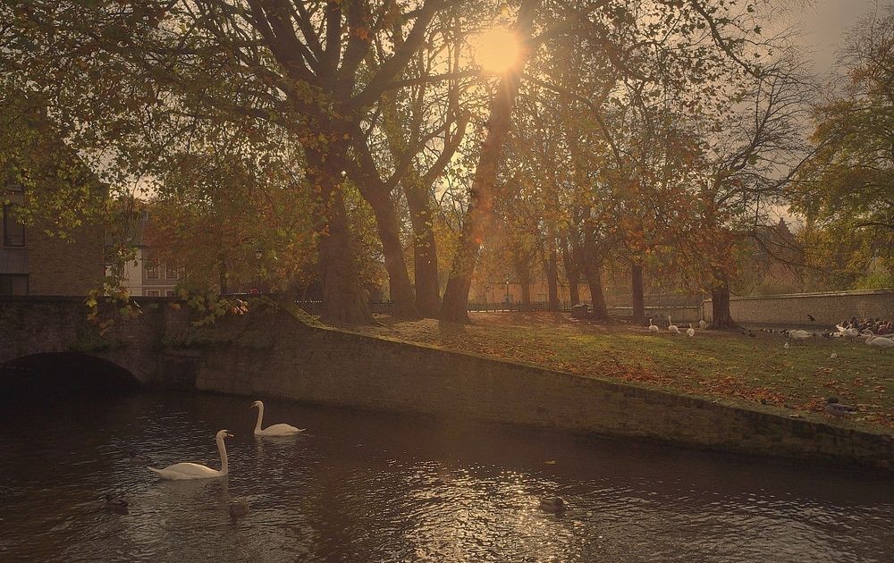 A walking in Bruges.