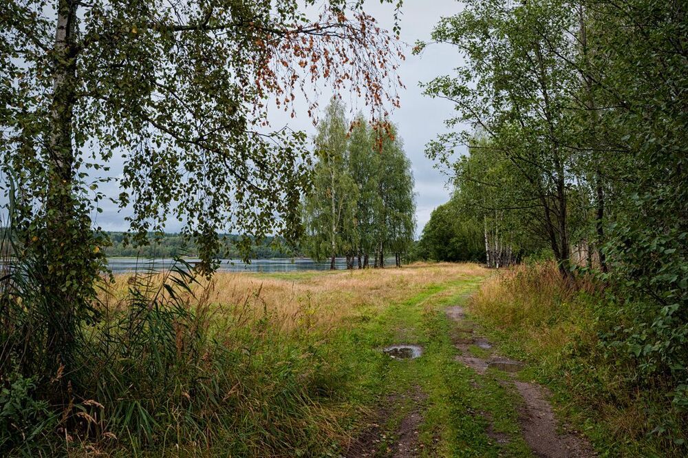 В туманном сентябре...и в августе чуть чуть печальном