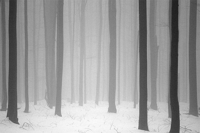 Photo 617693