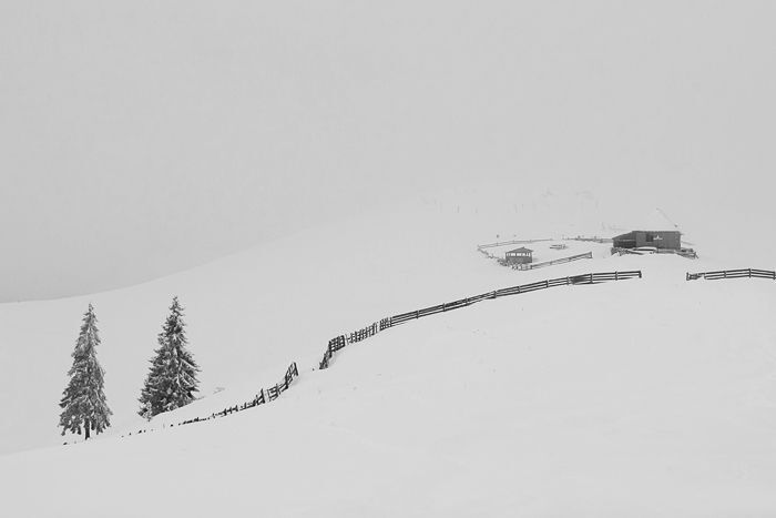 Photo 617696