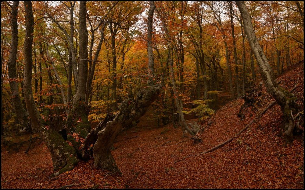 Осень