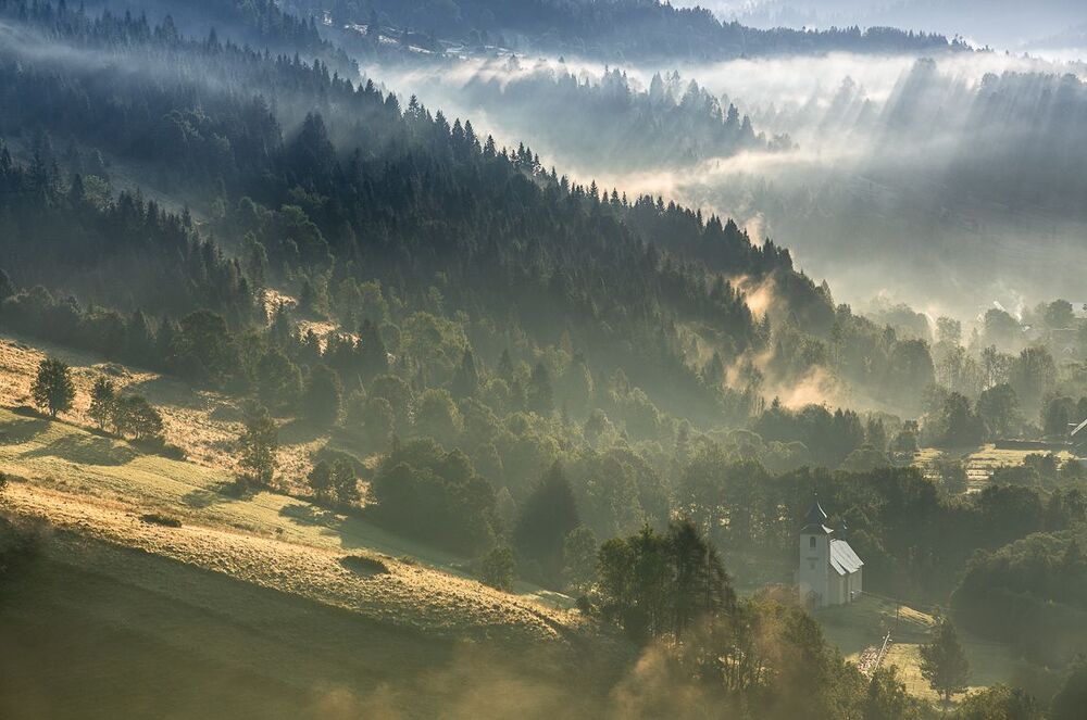 Moody morning