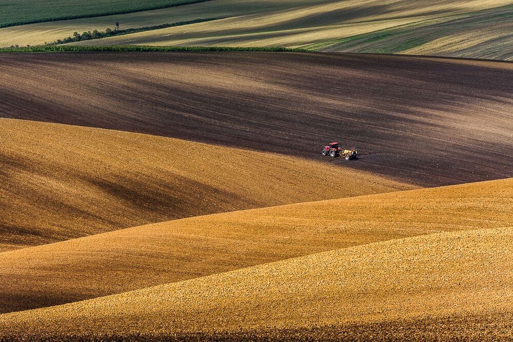 Moravian Fields