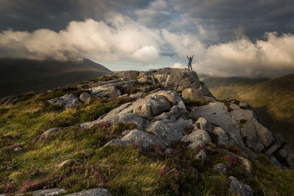 Mournes View