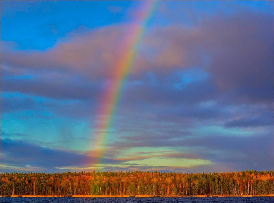 Золотые берега)