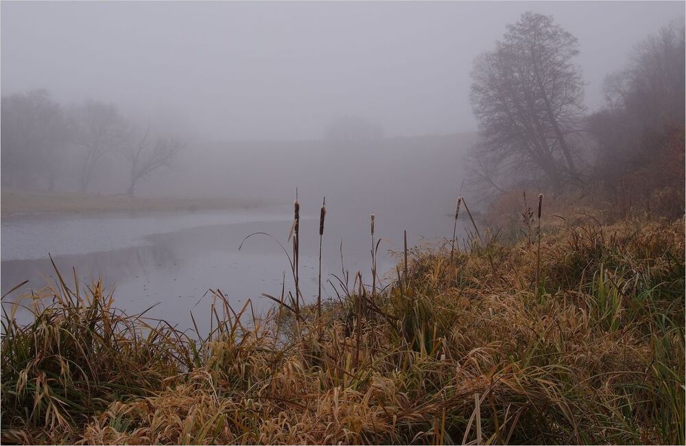 Photo 619744