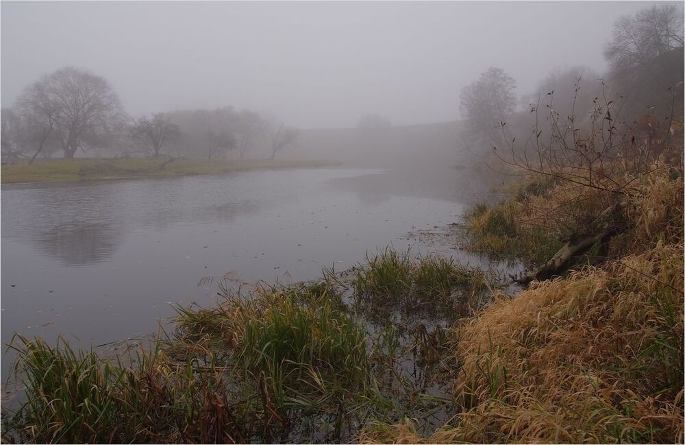 Photo 619745