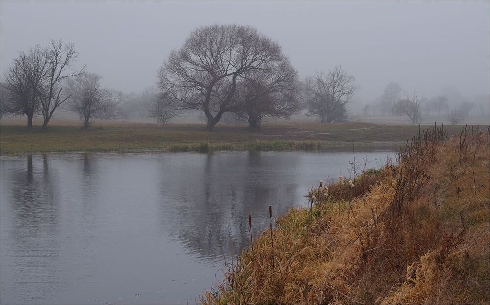 Photo 619746