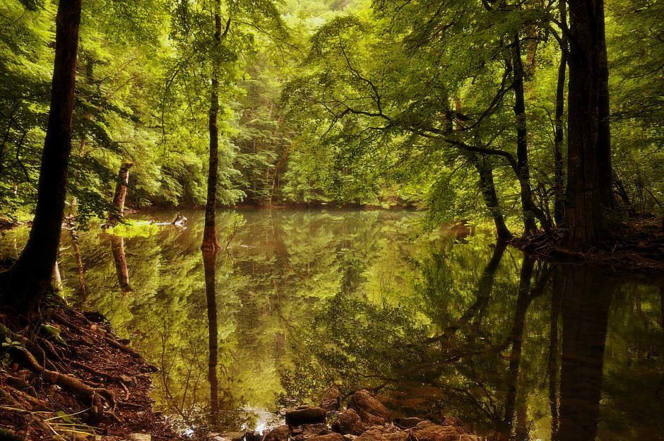 там, где живут водяные
