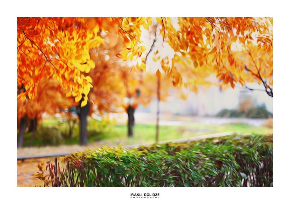 Sweet November