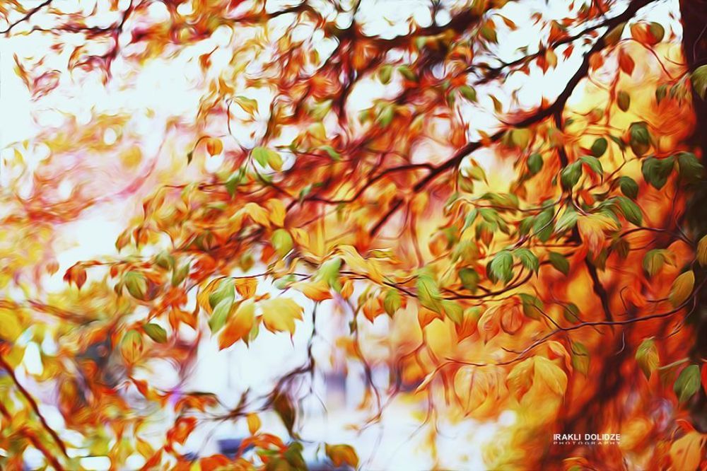 Sweet November