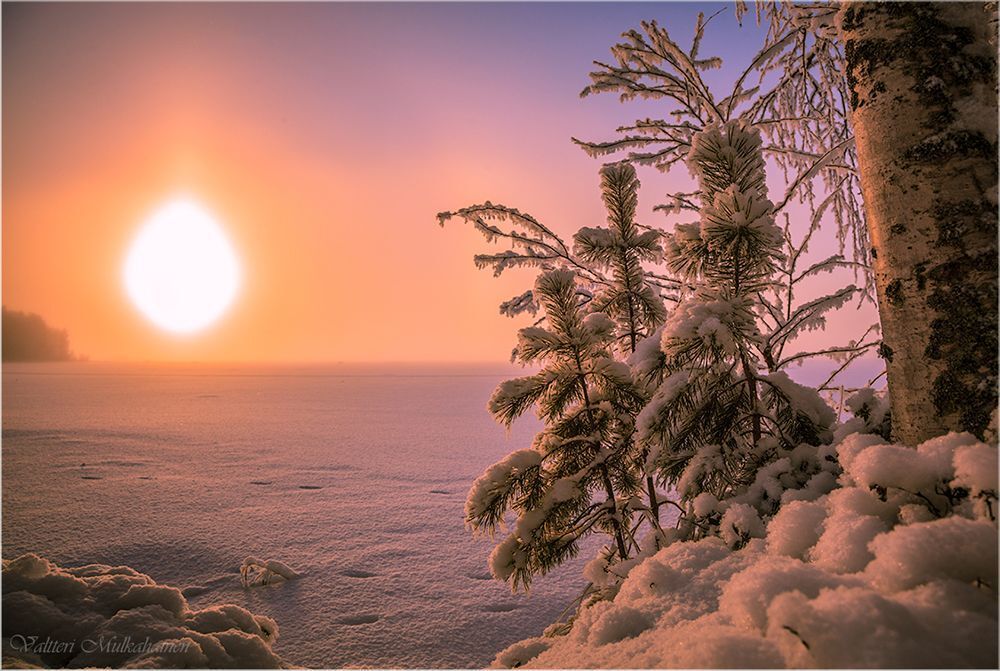 Морозная зима ...