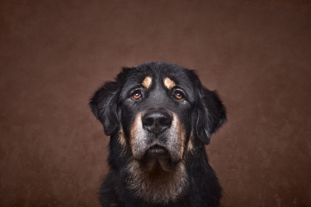 4 фотографии