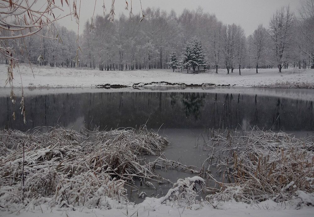 Первые снежные дни