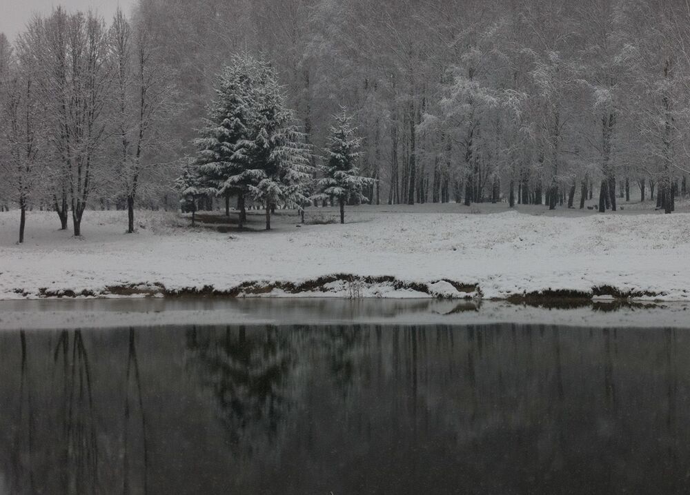 Первые снежные дни