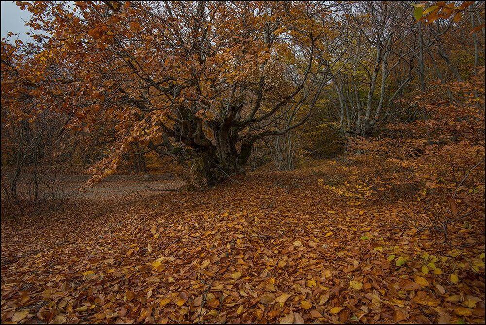 Осень в горах Крыма