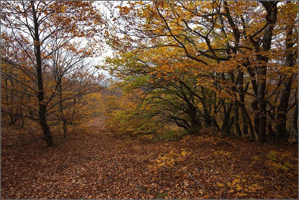 Осень в горах Крыма