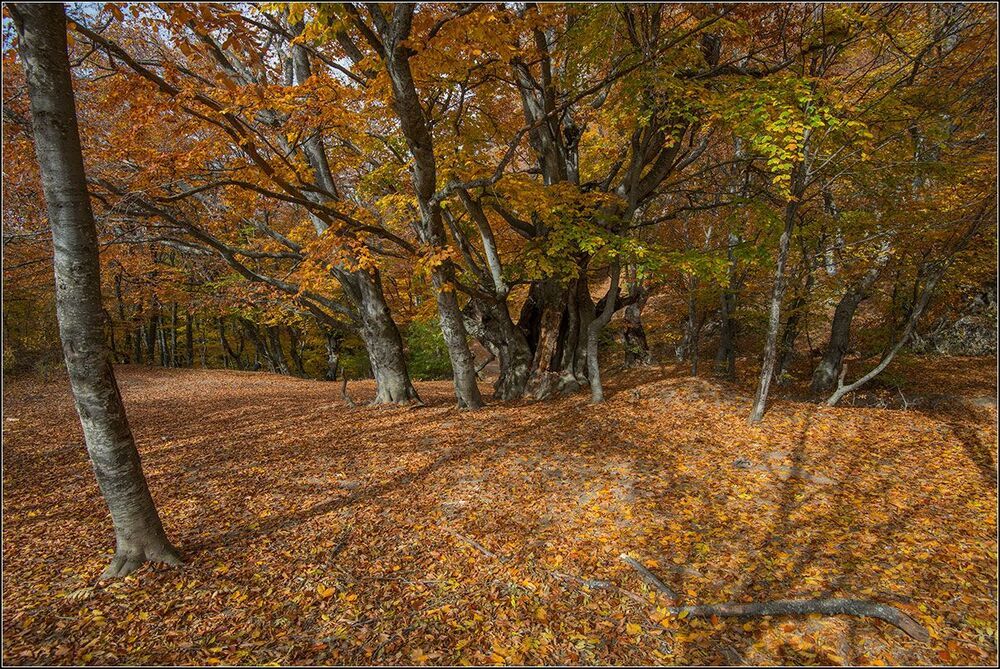 Осень в горах Крыма